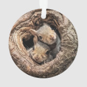 Cutest Baby Animals | Two Young Squirrels Ornament (Rückseite)