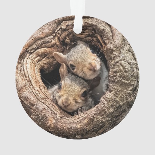 Cutest Baby Animals | Two Young Squirrels Ornament (Rückseite)