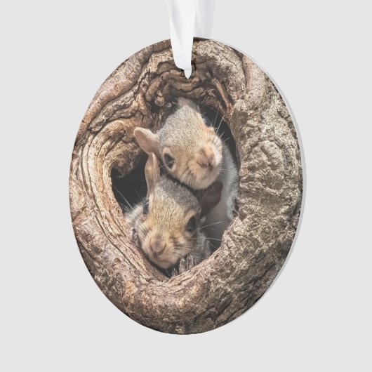 Cutest Baby Animals | Two Young Squirrels Ornament (Vorderseite)