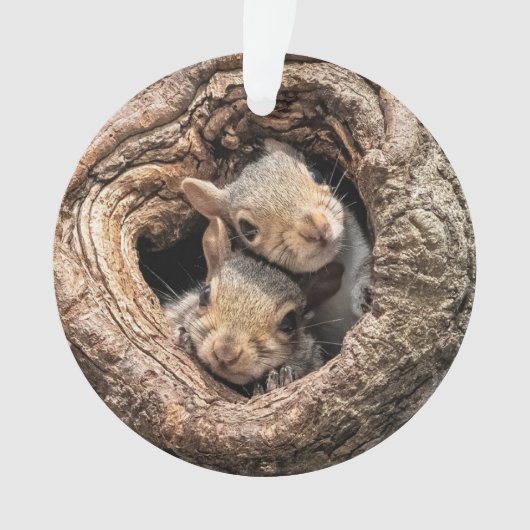 Cutest Baby Animals | Two Young Squirrels Ornament (Vorderseite)