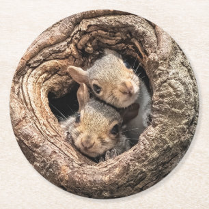 Cutest Baby Animals Two Young Squirrels Runder Pappuntersetzer