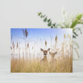 Cutest Baby Animals | Two Young White Tailed Deer Dankeskarte (Stehend Vorderseite)