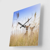 Cutest Baby Animals | Two Young White Tailed Deer Quadratische Wanduhr (Winkel)