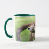 Cutest Baby Animals | Urban Fox Tasse (Links)