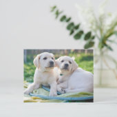 Cutest Baby Animals | Yellow Labrador Retrievers Postkarte (Stehend Vorderseite)
