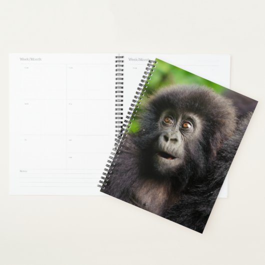 Cutest Baby Animals | Young Mountain Gorilla Planer (Anzeige)