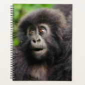 Cutest Baby Animals | Young Mountain Gorilla Planer (Vorderseite)