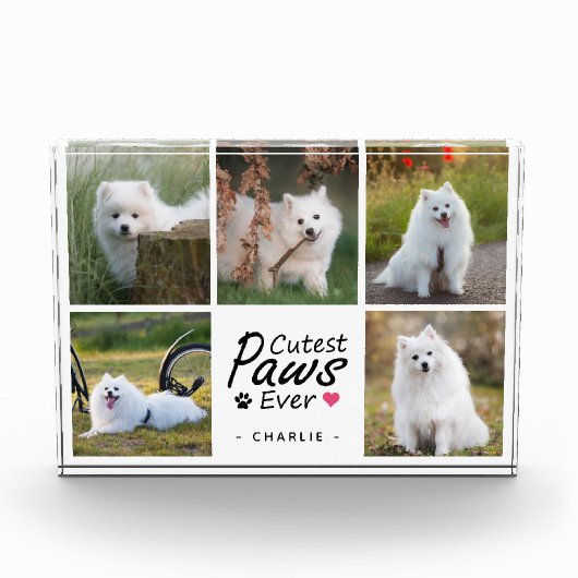 Cutest Paws Ever Modern Cute Pet Dog Photo Collage Fotoblock (Vorderseite)