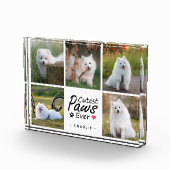 Cutest Paws Ever Modern Cute Pet Dog Photo Collage Fotoblock (Rechts)