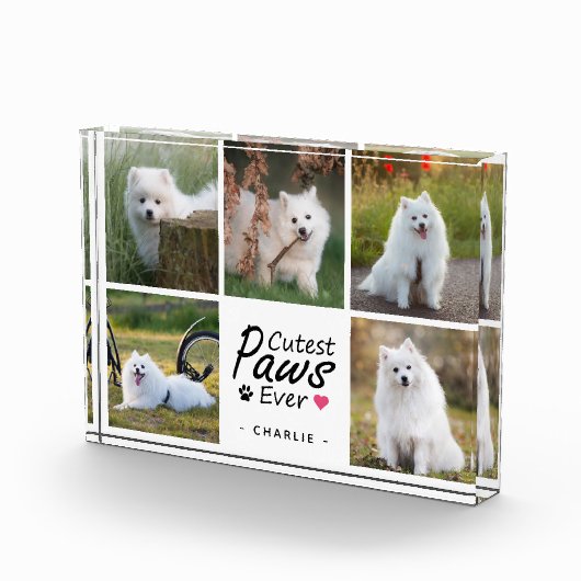 Cutest Paws Ever Modern Cute Pet Dog Photo Collage Fotoblock (Rechts)