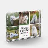 Cutest Paws Ever Modern Cute Pet Dog Photo Collage Fotoblock (Links)