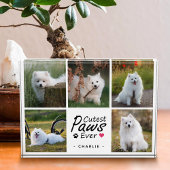 Cutest Paws Ever Modern Cute Pet Dog Photo Collage Fotoblock