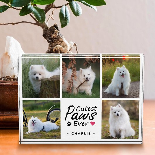 Cutest Paws Ever Modern Cute Pet Dog Photo Collage Fotoblock