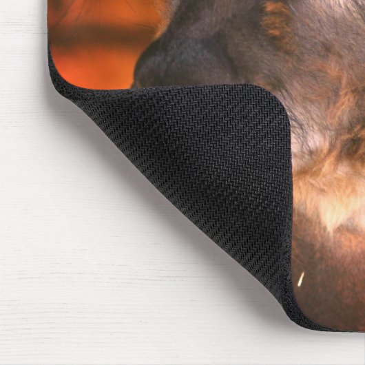 Cutey Llama Animal Mousepad (Ecke)