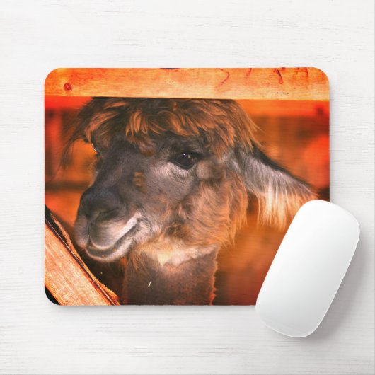 Cutey Llama Animal Mousepad (Mit Mouse)