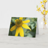 Cutleaf Coneflower (Rudbeckia laciniata) Karte (Gelbe Blume)