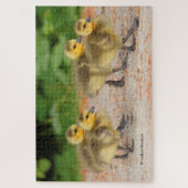 Cutness on Parade: Goose Goslings Puzzle (Vertikal)
