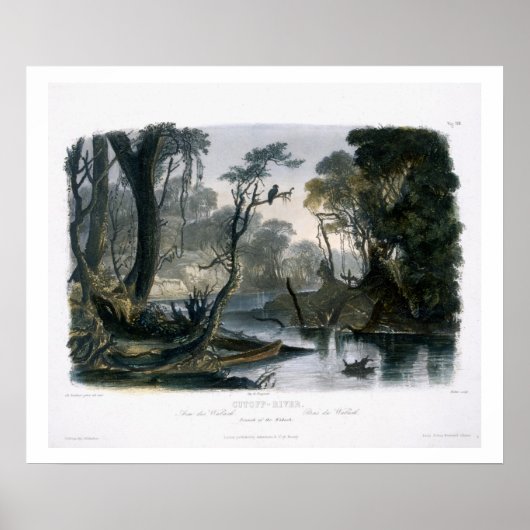 Cutoff River, Zweig der Wabash, Platte 8 von V Poster (Vorne)