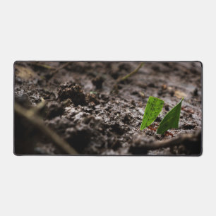 Cutter Ants Schreibtischunterlage