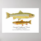 Cutthroat Forelle Art Poster (Vorne)