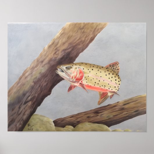 Cutthroat-Forelle Poster (Vorne)