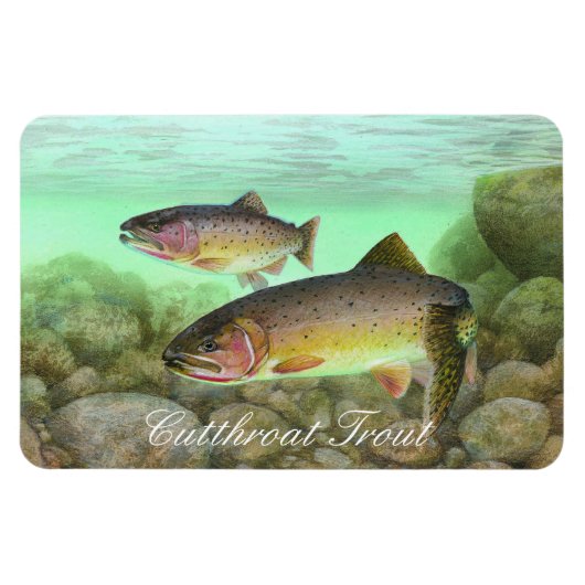 Cutthroat Trout Painting Magnet (Horizontal)