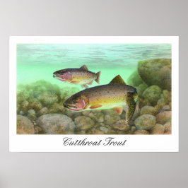 Cutthroat Trout Painting Poster