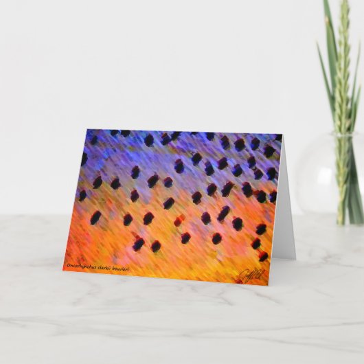 Cutthroforelle - Karte (Vorderseite)