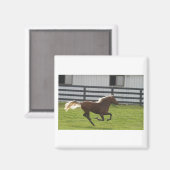 Cuttin' Loose Magnet (Vorderseite/Rückseite)