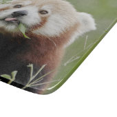 Cutting Board Foto Rote Panda , Tiere 0216. Schneidebrett (Ecke)