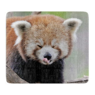 Cutting Board Foto Rote Panda , Tiere 0218. Schneidebrett