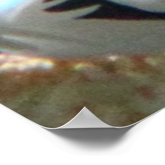 Cuttlefish Poster (Ecke)