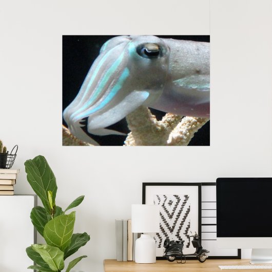 Cuttlefish Poster (Heimbüro)