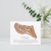 Cuttlefish Postkarte (Stehend Vorderseite)