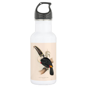 Cuvier-Tukan-Druck: Vintage Tropischer Vogel Edelstahlflasche