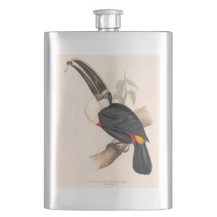 Cuvier-Tukan-Druck: Vintage Tropischer Vogel Flachmann