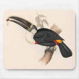 Cuvier-Tukan-Druck: Vintage Tropischer Vogel Mousepad
