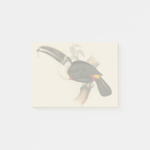 Cuvier-Tukan-Druck: Vintage Tropischer Vogel Post-it Klebezettel