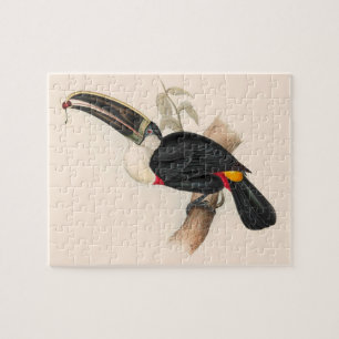 Cuvier-Tukan-Druck: Vintage Tropischer Vogel Puzzle