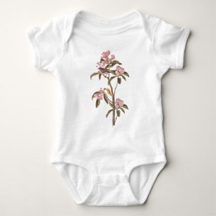 Cuviers Kinglet Audubon Vogel auf rosa Blume Baby Strampler