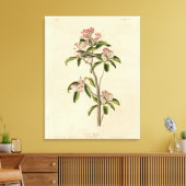 Cuvier's Kinglet (Cuvier's Regulus) Audubon Birds Leinwanddruck (Insitu (Wohnzimmer))