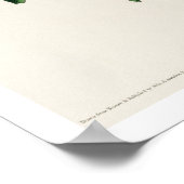 Cuvier's Kinglet von Audubon Poster (Ecke)