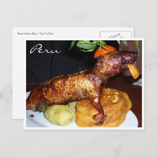 cuy peru postkarte (Vorne/Hinten)