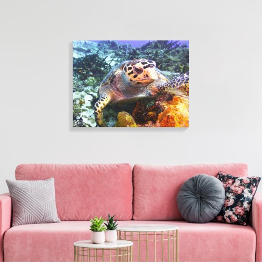 Cuzumel Turtle #4 Leinwanddruck (Insitu (Wohnzimmer))