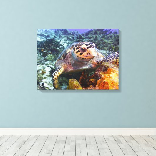 Cuzumel Turtle #4 Leinwanddruck (Insitu (Holzboden))