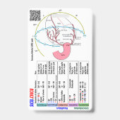 CVICU SICU ICU Badge Buddy Ausweis (Back)