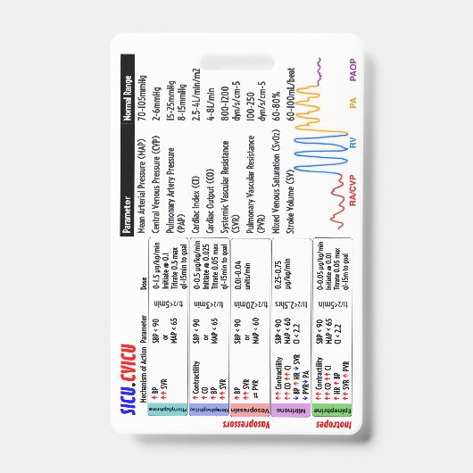 CVICU SICU ICU Badge Buddy Ausweis (Front)