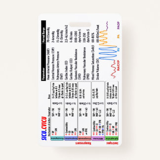 CVICU SICU ICU Badge Buddy Ausweis