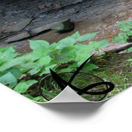 CVNP - Blue Hen 2010 Poster (Ecke)