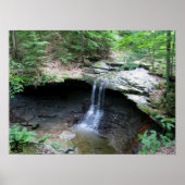 CVNP - Blue Hen 2010 Poster (Vorne)